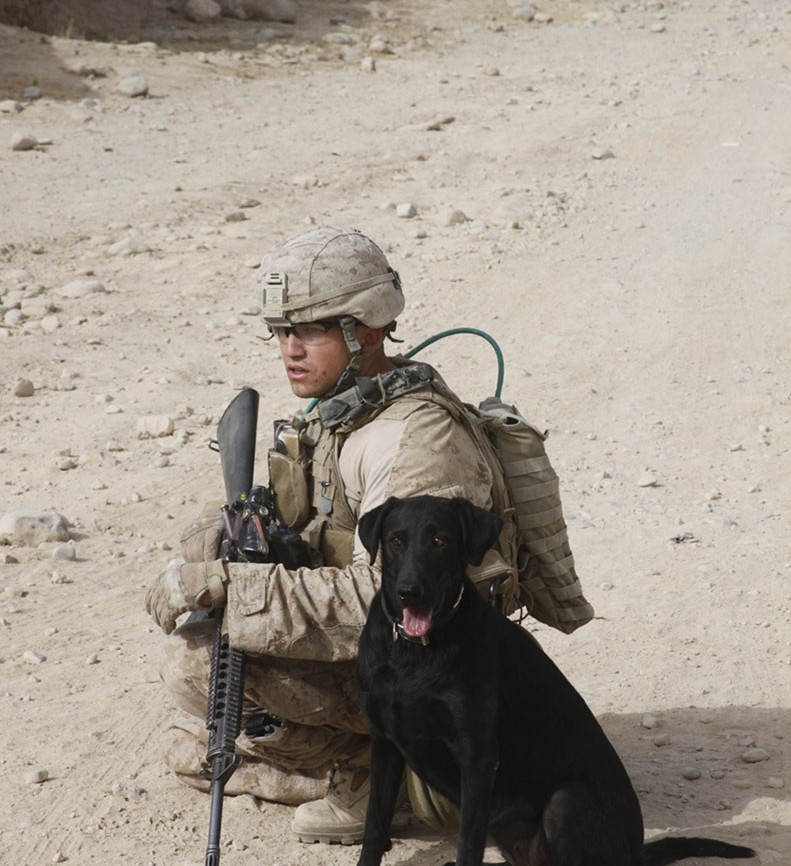 Marine veteran, Anthony Marquez, with Allie. Photo courtesy of The September Club.