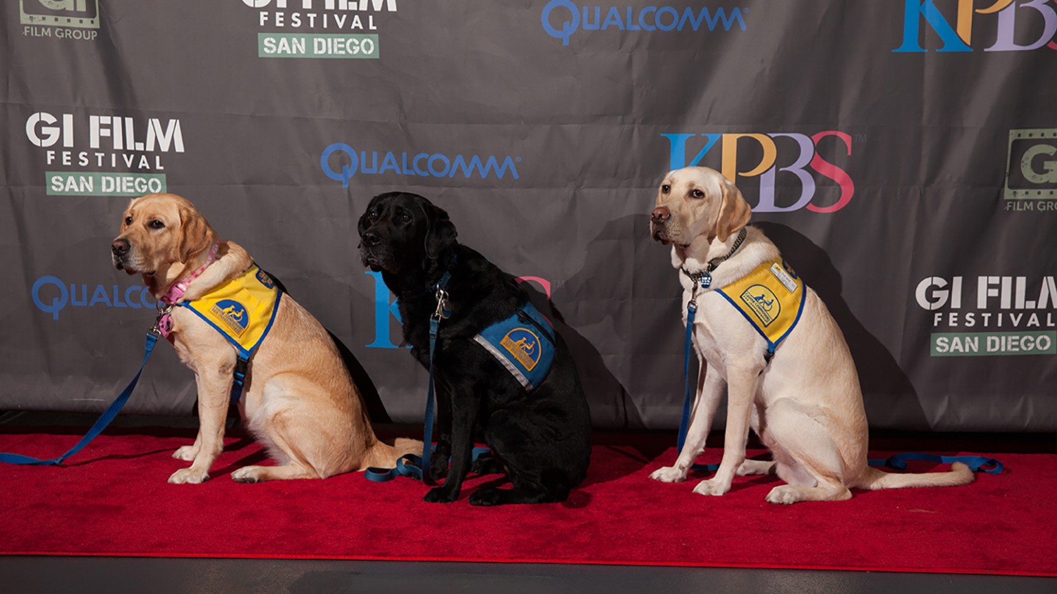 Service dogs at the Family Movie Night featuring "Max" on Friday, October 16, 2015.